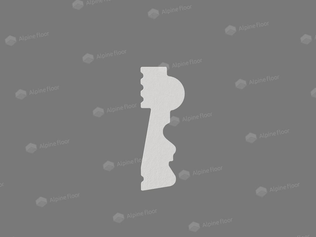 https://bitrix.alpinestore.su/upload/iblock/254/hlognlf7vs7yfue90orpl5d58yz0hfe9/TL014204_003.jpg