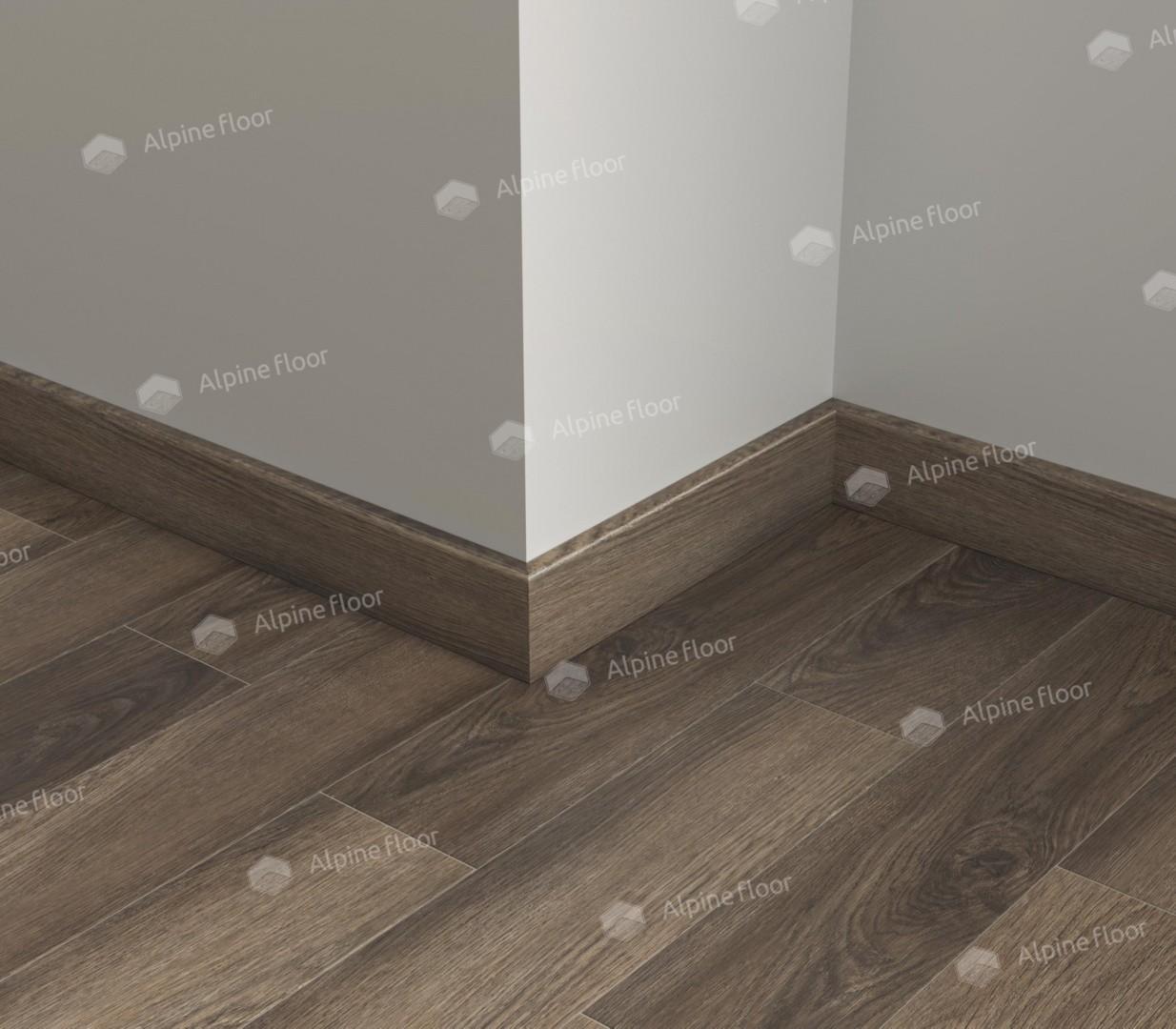 https://bitrix.alpinestore.su/upload/iblock/279/q33ewvwua8f8pzidstqaym1tgtp3yf1a/Rakus1.JPG