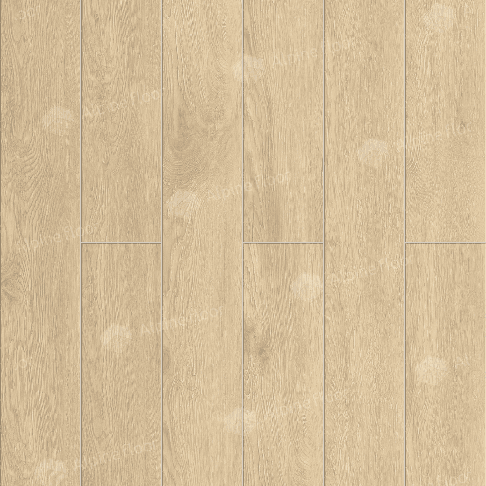 https://bitrix.alpinestore.su/upload/iblock/449/un6o074a04c8b0qwo2jlbvaaawp8m6f6/11_507.png