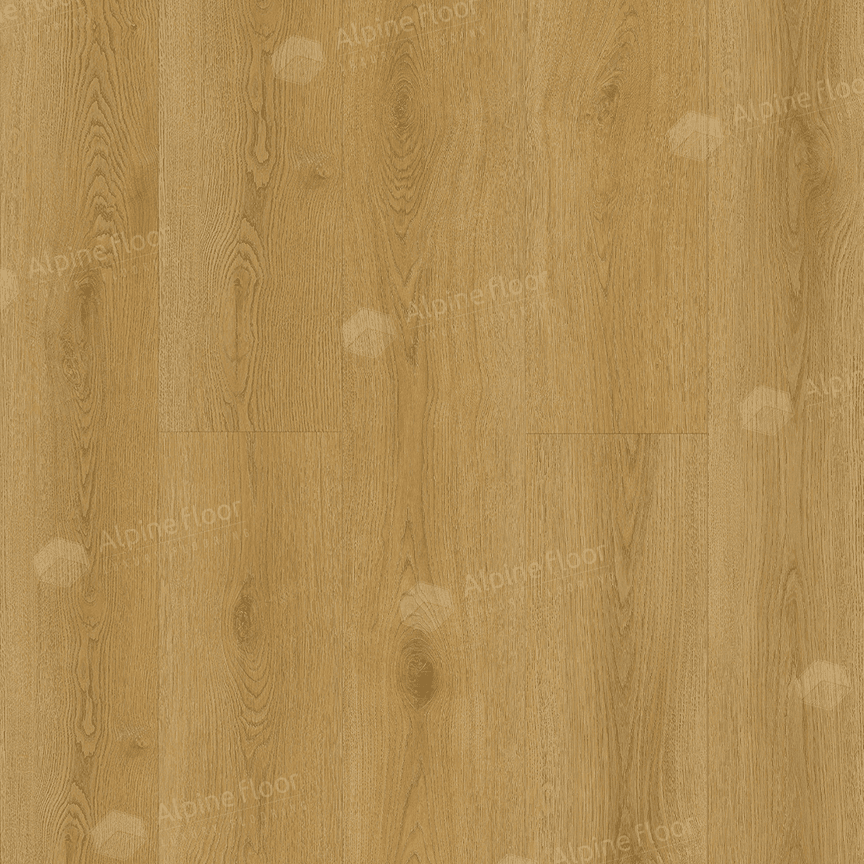 https://bitrix.alpinestore.su/upload/iblock/b1d/pr53yp95u59x2t5emy7ckmmhsa885k8z/eco21_23_11zon.png