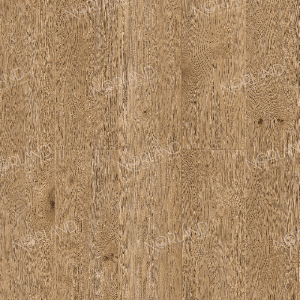 https://bitrix.alpinestore.su/upload/iblock/b4e/jadeze9oeknvtx5j2prvv7z7kbkrrq0q/1022_8_panno.png