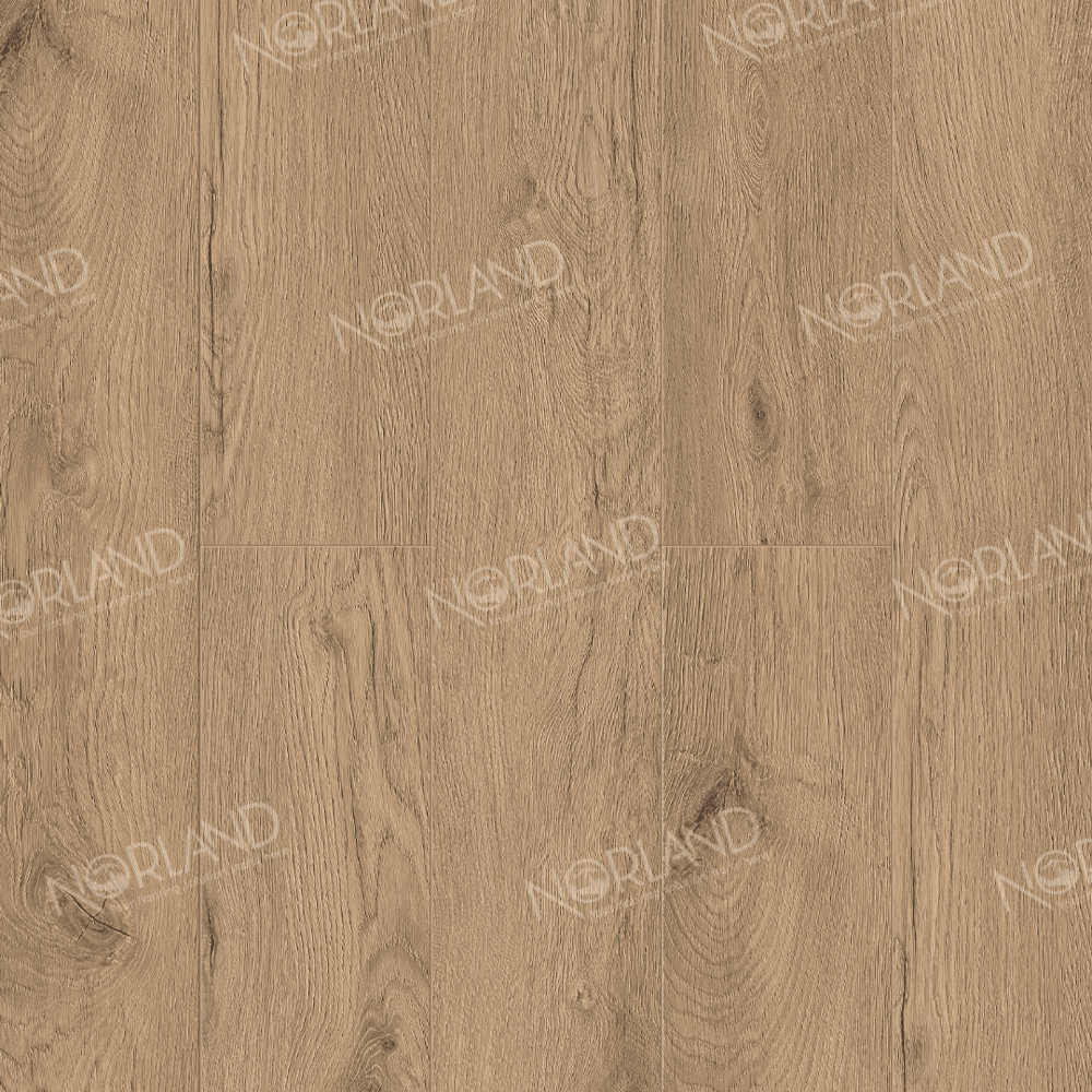 https://bitrix.alpinestore.su/upload/iblock/bf2/nvb48ly07gf0nsuqwyhhv690x2fcfwzn/1022_4_panno.png