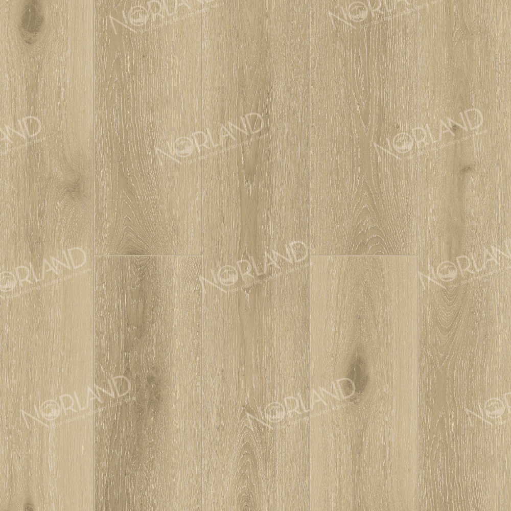 https://bitrix.alpinestore.su/upload/iblock/e5f/2euuv4hrl2o5mnp5z3r18e8o1p19c1a9/1022_10_panno.png
