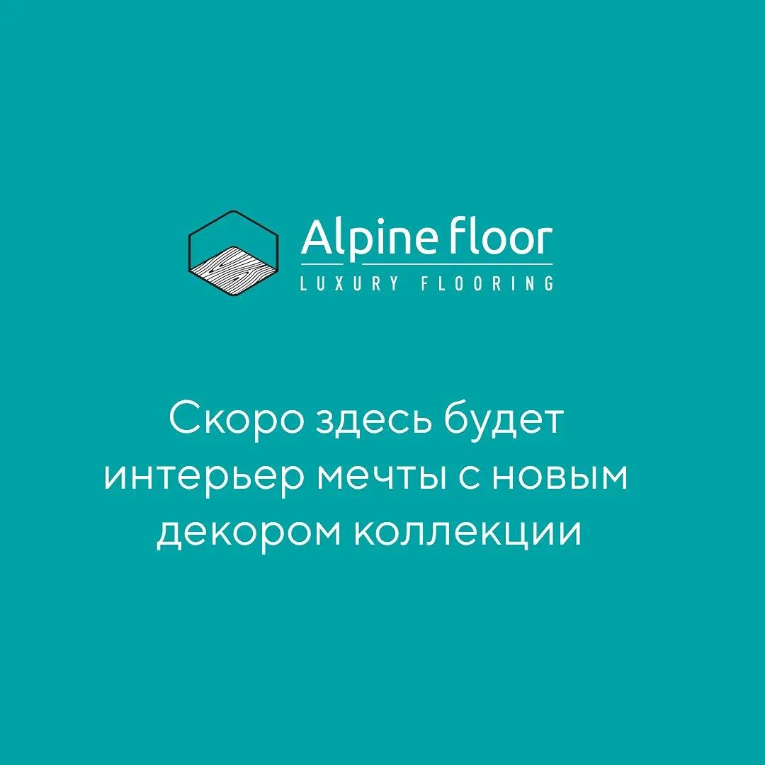 https://bitrix.alpinestore.su/upload/iblock/64b/ypf75kvyoce1vcq1w7a1rfp3cyzfqvw1/Bezymyannyy_1_Vosstanovlen_Montazhnaya_oblast_1_1_11zon.jpeg