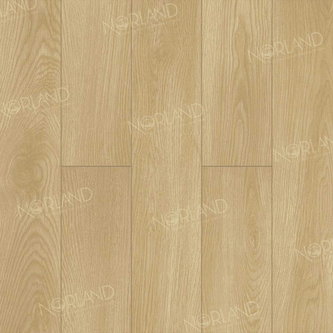 https://bitrix.alpinestore.su/upload/iblock/807/rchlg28lup96vq7a118tel0oyqg20fcm/LF301_04_3_11zon.png