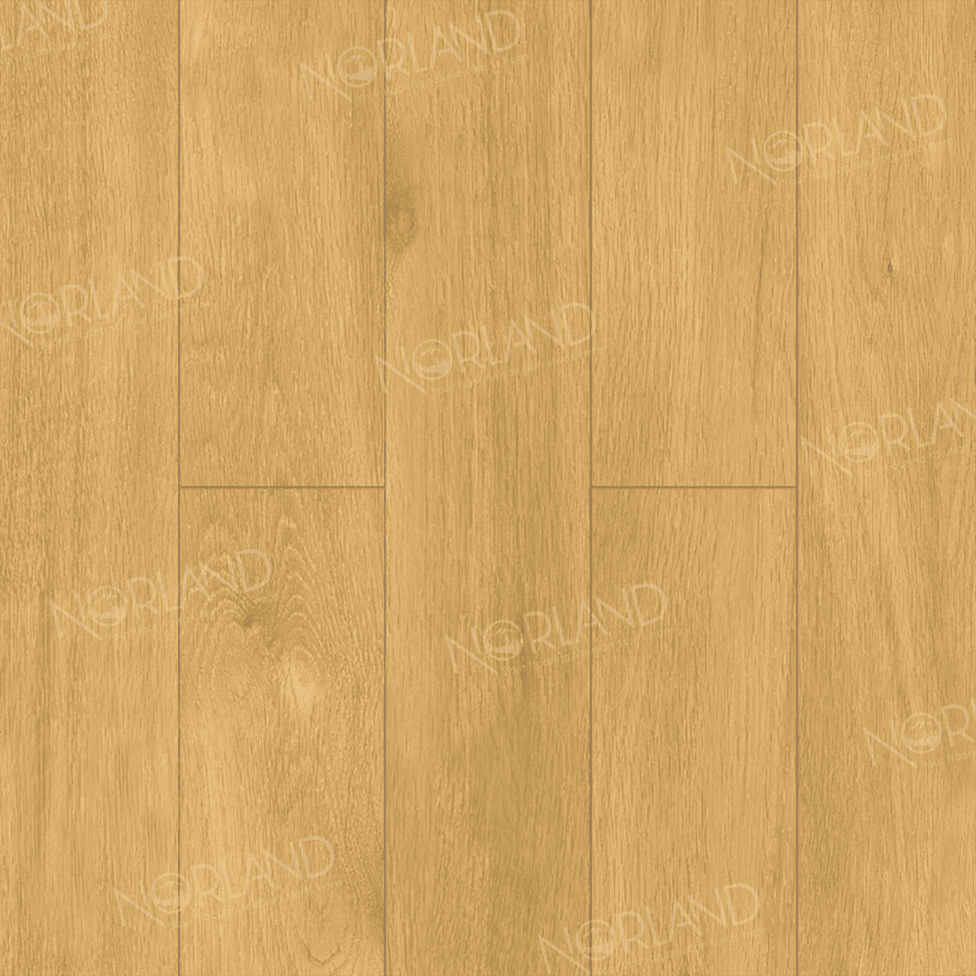 https://bitrix.alpinestore.su/upload/iblock/c1f/4jq5ab4q9q8ez0su7skz7jo273910t59/LF301_12_3_11zon.png