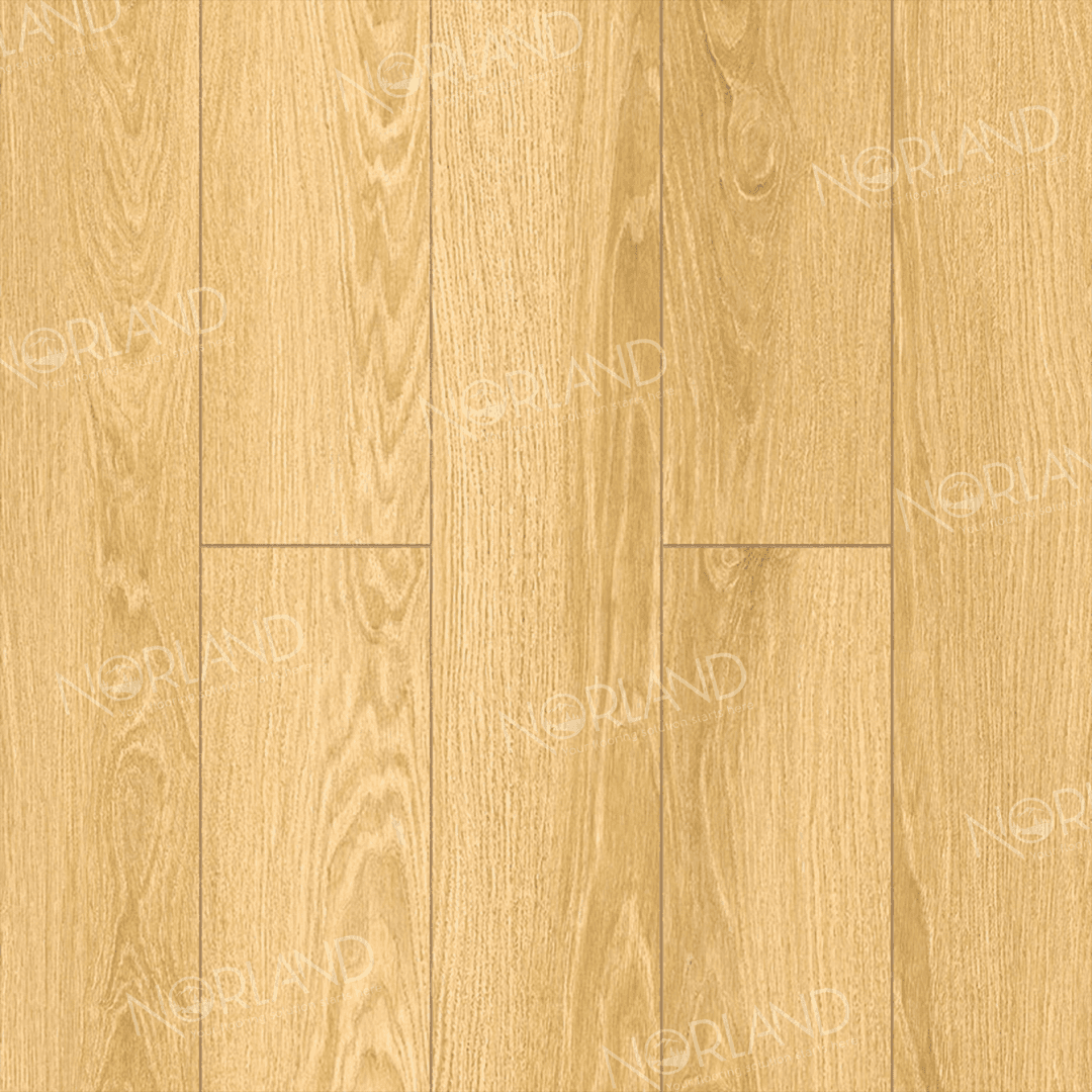 https://bitrix.alpinestore.su/upload/iblock/e60/9ddoleutl7d72g0rrbefwkh04hnlo4zf/LF301_07_3_11zon.png